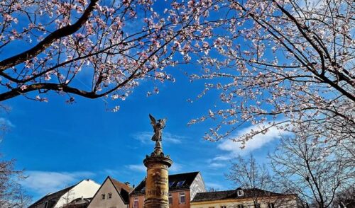 Siegburg Markt Frühling